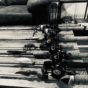 Meet your Posher, Logan